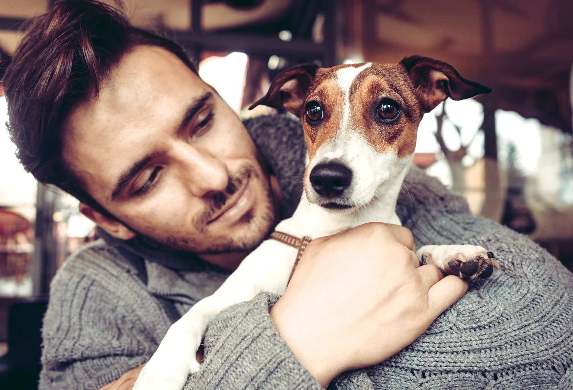 The Best Dog Breeds for Cuddling